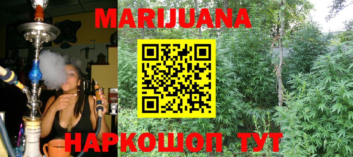 Шишки марихуана гибрид Махачкала